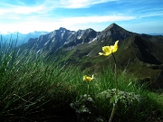 Sull’arco di San Simone: PIZZO ROTONDO (2237 m.) > CIMA LEMMA (2348 m.) > quasi PIZZO SCALA (2348 m.) il 15 giugno 2012 - FOTOGALLERY